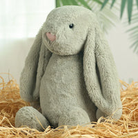 Shy Floppy Ear Bunny Plush Toy, Soft Stuffed Animal Doll for Girls, Cute Easter Valentine Birthday Gift for Kids, Friends