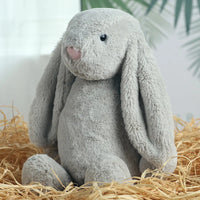 Shy Floppy Ear Bunny Plush Toy, Soft Stuffed Animal Doll for Girls, Cute Easter Valentine Birthday Gift for Kids, Friends